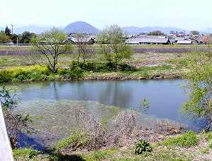 20100428tenjyo (12).jpg